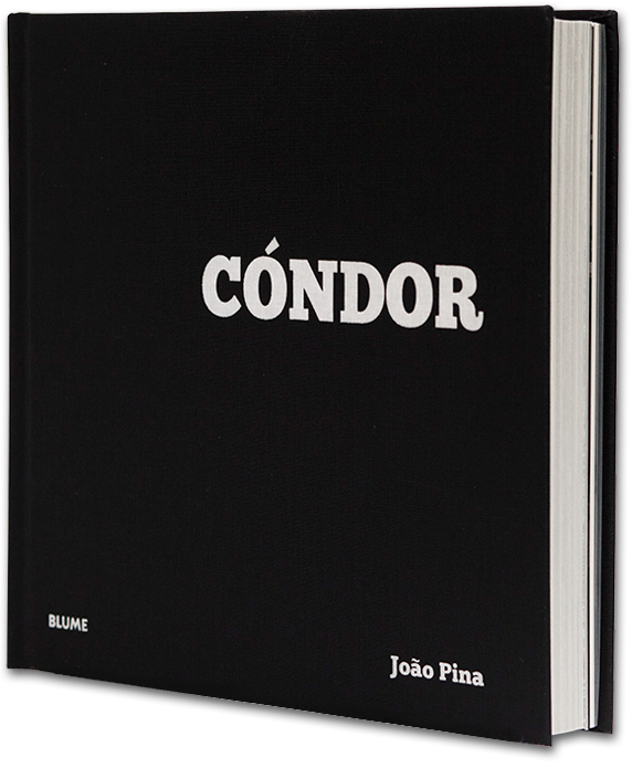 book-cover-condor
