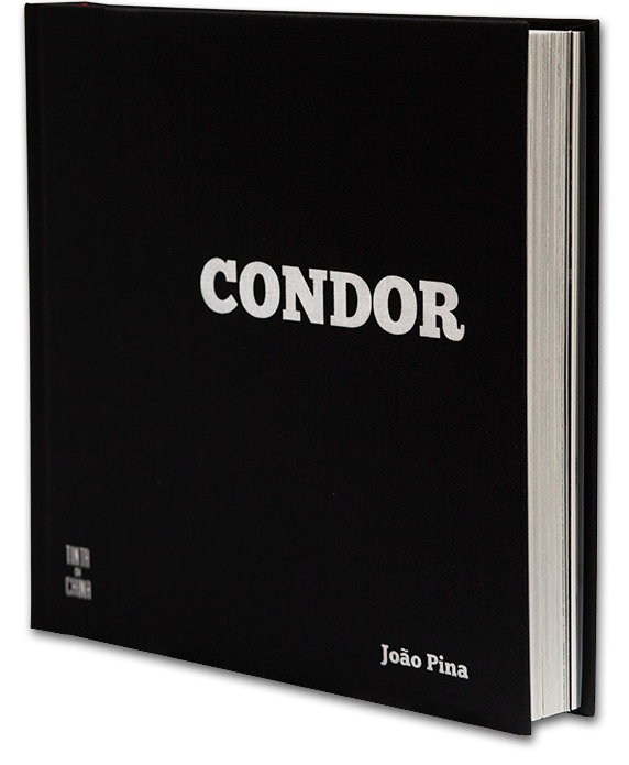 book-cover-condor