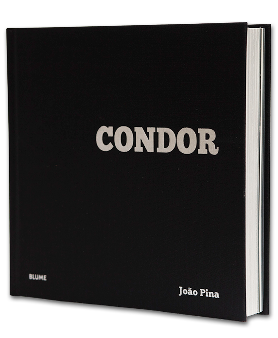book-cover-condor